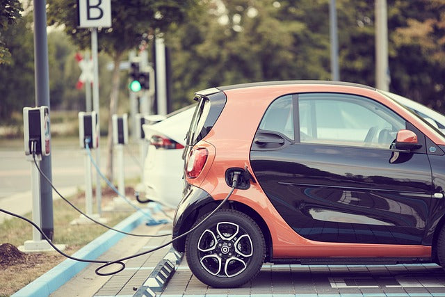 The UAE is rapidly emerging as a key market for NEVs in the Middle East